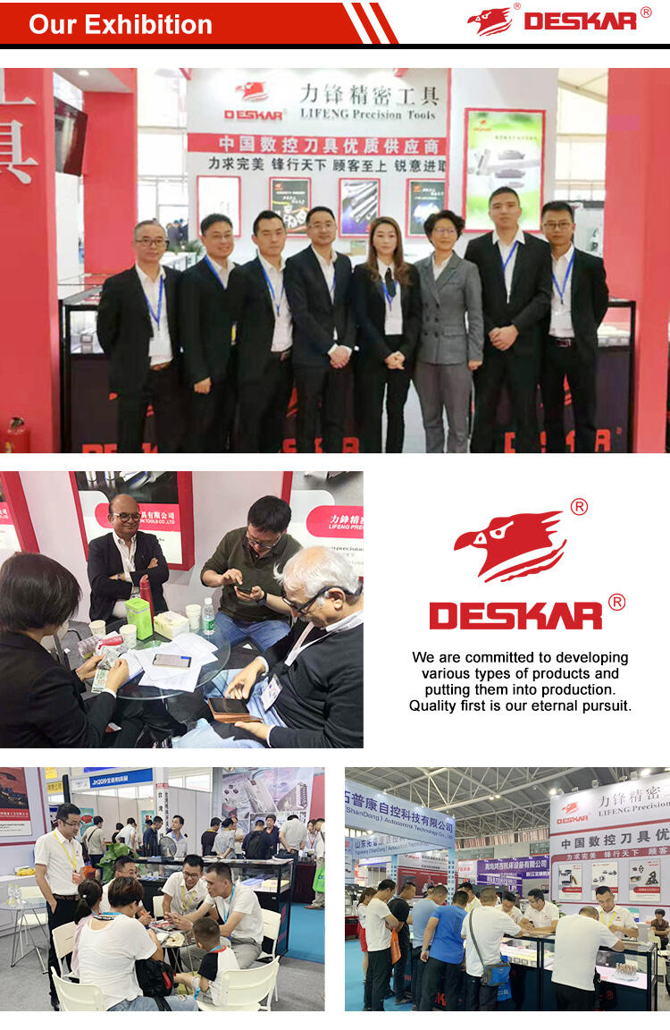 DESKAR 16 ER 2.0 ISO LF6118 Indexable Tungsten Carbide Threading Lathe Inserts for Threaded Lathe Holder supplier